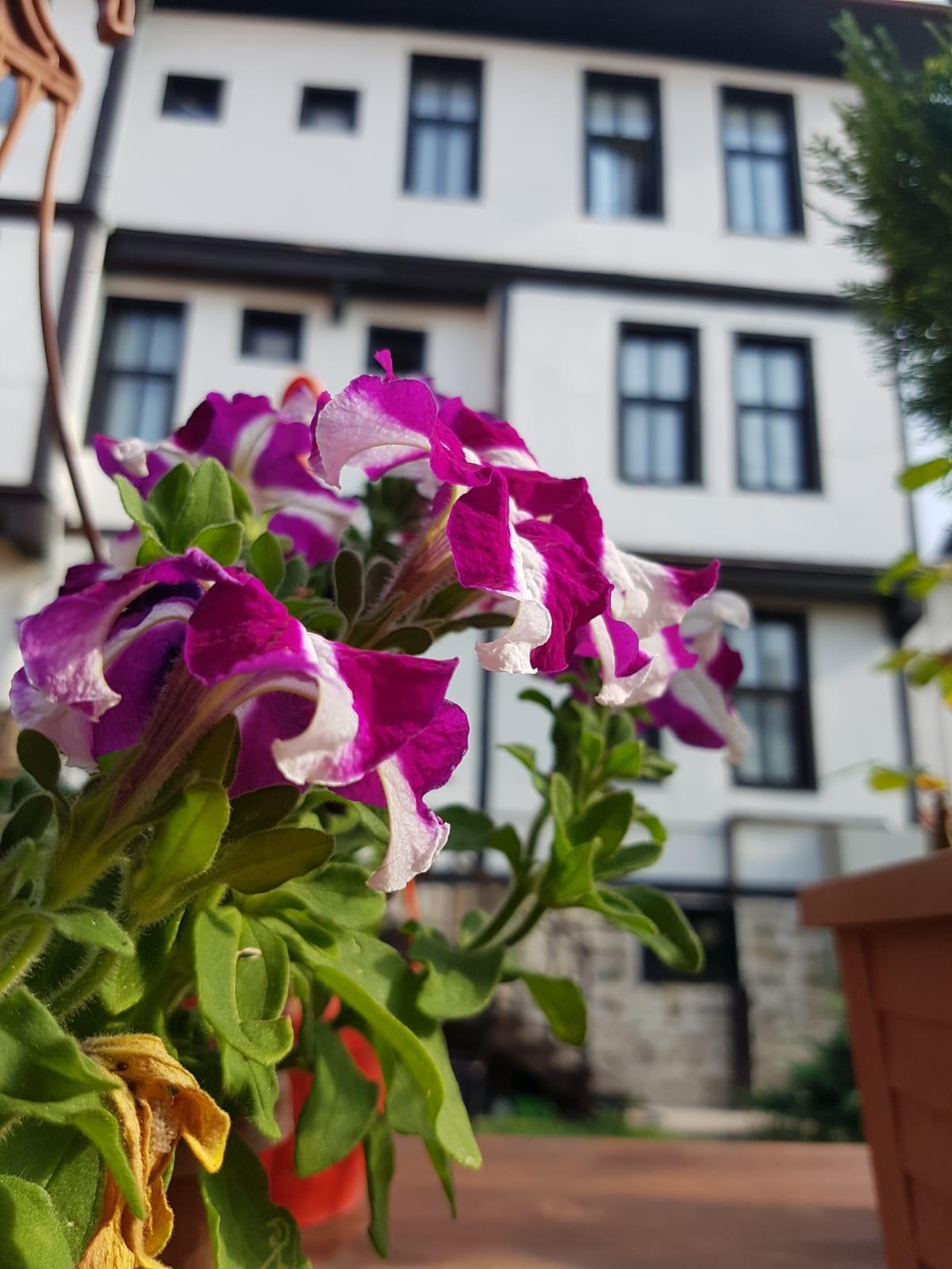 Kadioglu Konagi Hotel